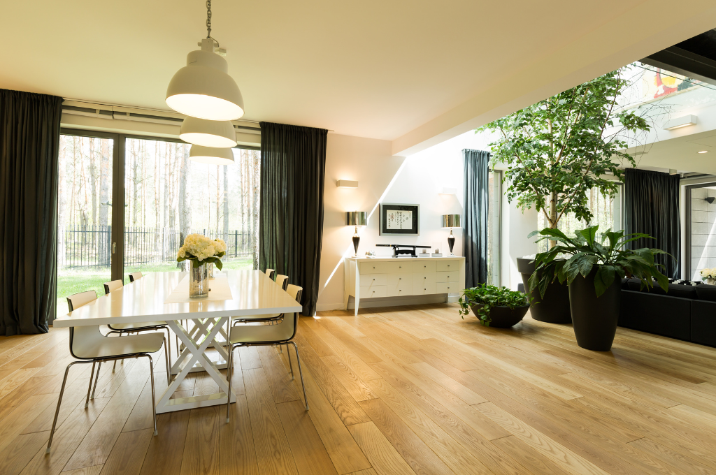 with-skylights-you-will-stop-using-artificial-light